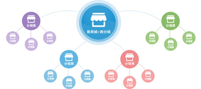广西贸易公司的市场前景与机遇
